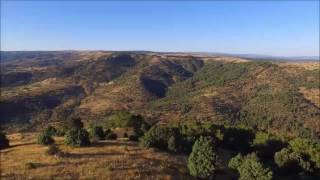 Dehesa. San bartolome de pinares (Avila)