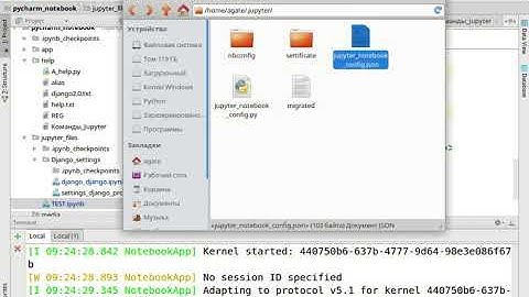 Настройка Pycharm + Jupyter Notebook Windows Linux. Видео для тех кто делает по моим курсам.