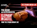 Capture de la vidéo Elephant In Castle – Phil Kieran With The Ulster Orchestra | The Strand Cinema Live