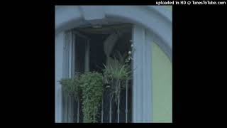 surrenderdorothy - tendingtothegarden