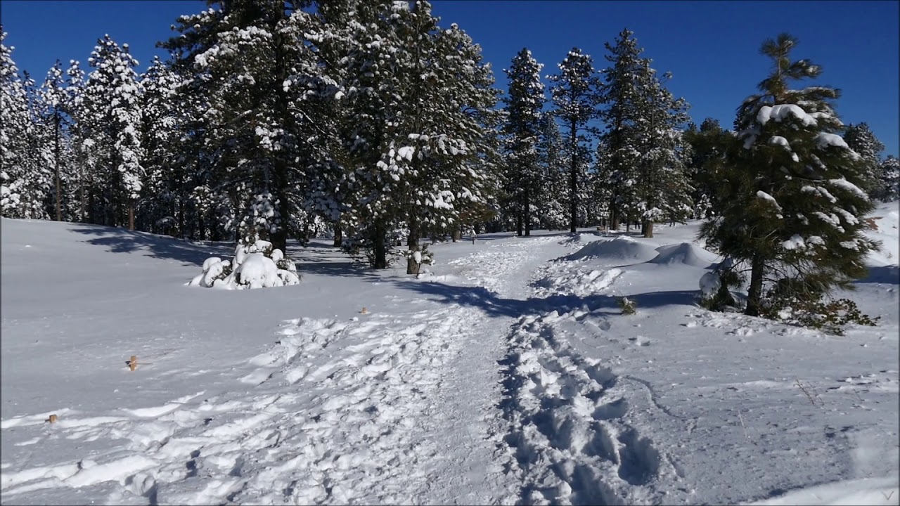Floconneries Bryciennes Et Beautes D Hiver Vegassien Carnet Decembre 19 Forum Parcs Nationaux De L Ouest Americain Routard Com