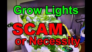 Grow Lights for Indoor Gardening - Scam or Necessity