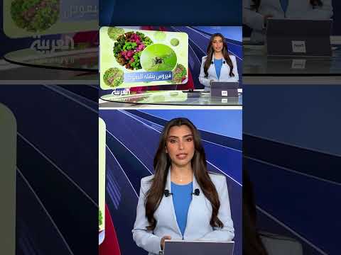 تفشي فيروس شيكون جونيا في الصين... إجراءات احترازية واسعة النطاق