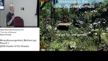 2013 Day1P6 Life of Binaries: BinHunt Round 1