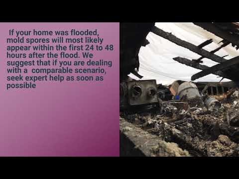 TipTop Fire & Smoke damage restoration Valencia - West Creek Academy - (661) 231-8173