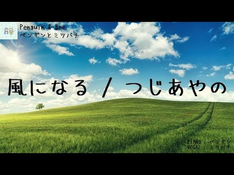 [ 音大生デュオ ]  風になる / つじあやの ジブリ映画 『 猫の恩返し 』主題歌