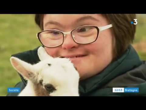 À Dernancourt, Charlotte, porteuse de trisomie 21, va à l'école