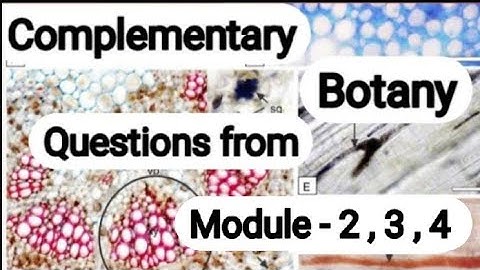 | K U  BSc - Complementary Botany  S1 Exam oriented questions | Module - II , III , IV |