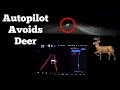 Tesla's FSD Beta Avoids Deer At Night on Dirt Roads | Also Drives Without Headlights! | Autopilot