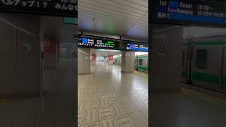JR埼京線 E233系 東京高速臨海鉄道 りんかい線 新木場駅