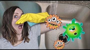 Fix Smelly Garbage Disposal | 2 Ways to Clean your Garbage Disposal