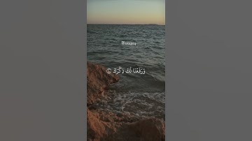 ألم نشرح لك صدرك * ووضعنا عنك وزرك * الذي أنقض ظهرك (سورة الشرح)