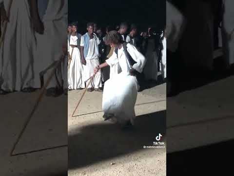 شاهد رقص تراثي على ايقاع الكول الخاص بالبجا بشرق السودان يجذب الالاف في وسائل التواصل الاجتماعي