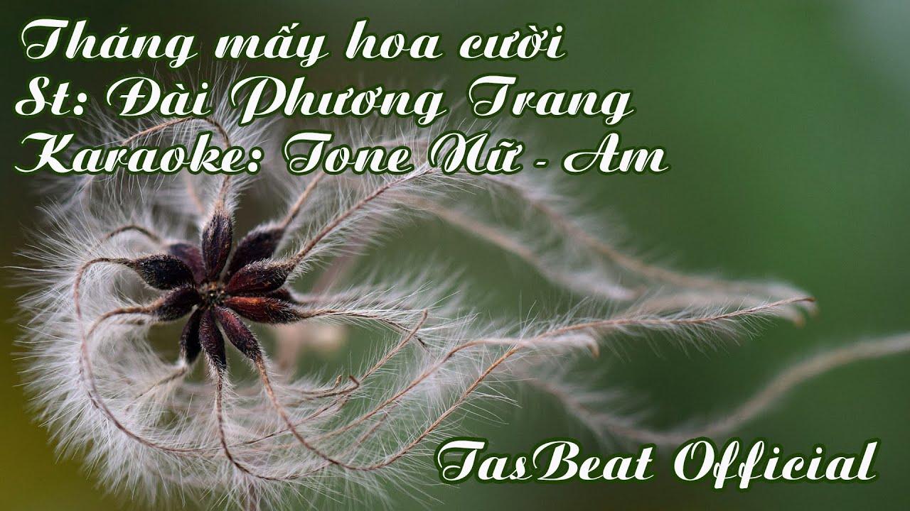 Karaoke Tháng mấy hoa cười - Tone Nữ | TAS BEAT