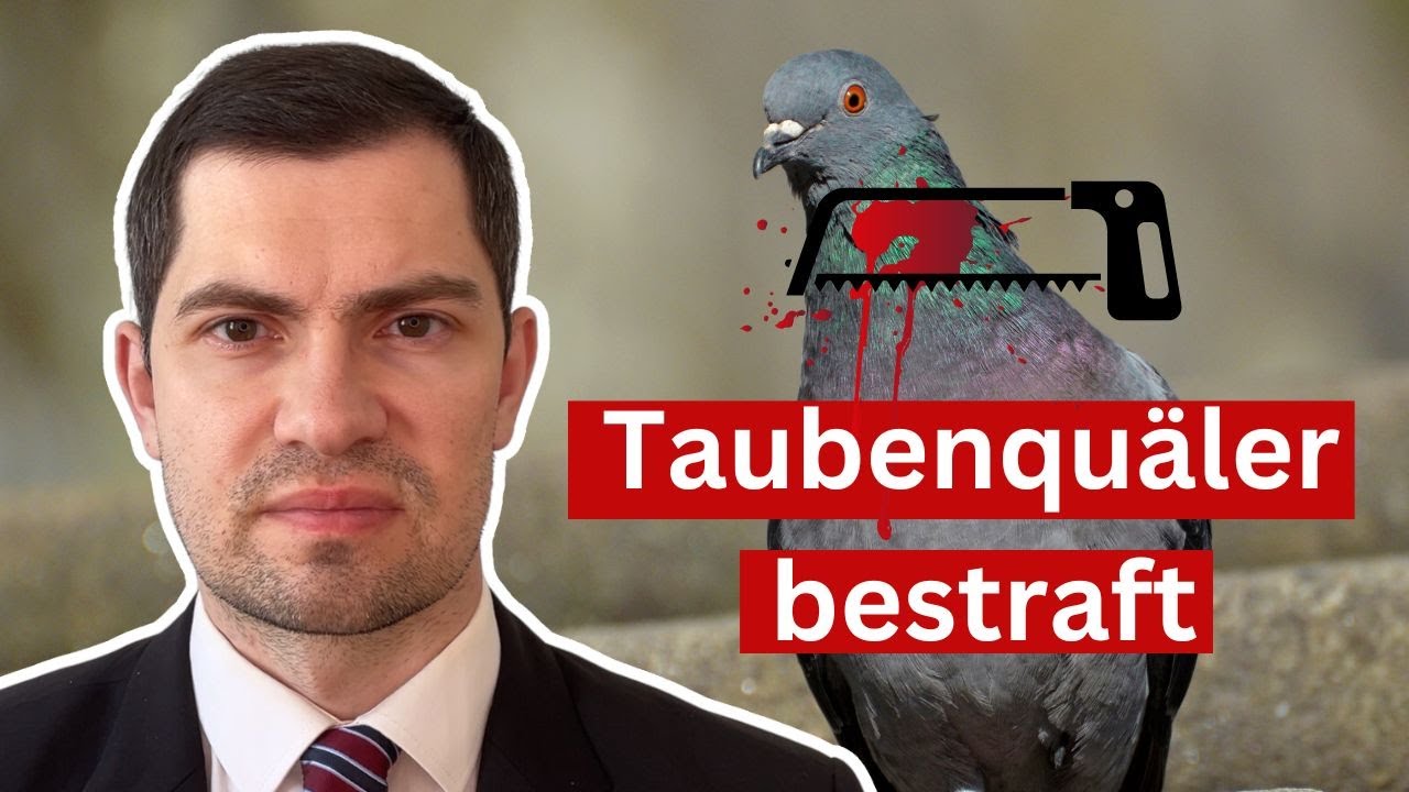 Mann reißt Taube den Kopf ab: DAS ist das Urteil