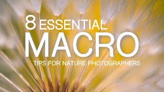 My 8 Essential Macro Photography Tips for Nature Photographers screenshot 3