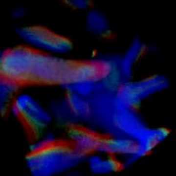 High Dimensional Direct Rendering of Time-Varying Volumetric