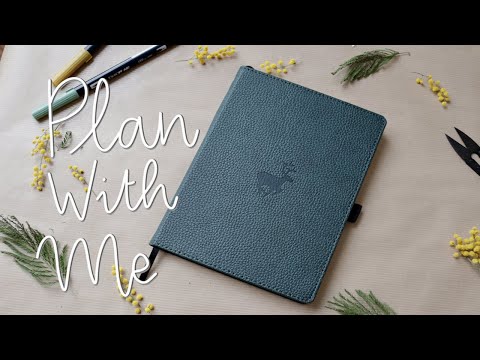 Plan With Me