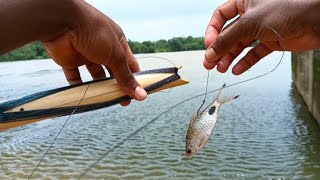 Live bait fishing for Redsnapper/Barramundi | Amazing Hand line fishing in the monsoon | live bait
