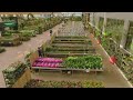 Famiflora mouscron printemps 2022 