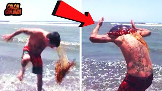 If You See It Run Away Immediately Some Sea Creatures To Avoid If You Dont Want To Lose Your Life