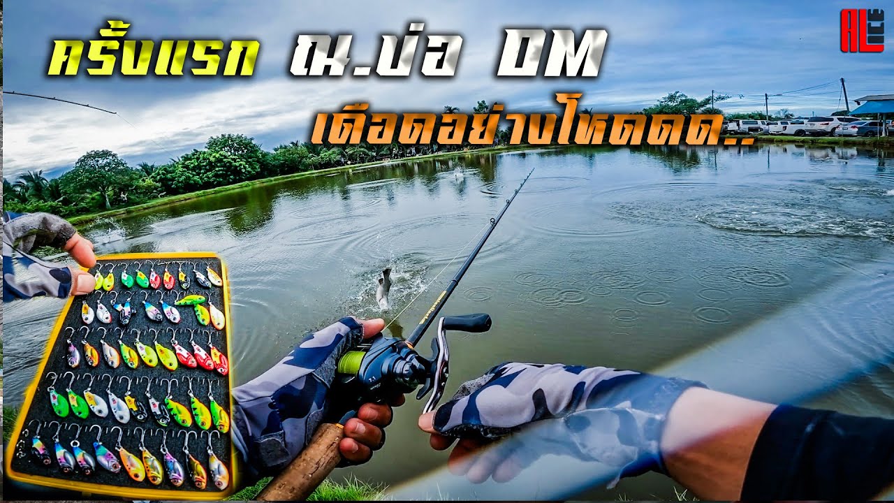 ึ7ปี..ได้มาซะที..#บ่อDM กะพงบุฟเฟ่ต์(สมุทรสาคร)