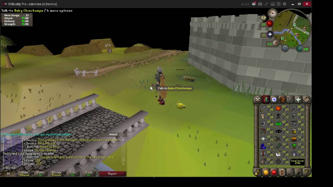 OSRS golden chin pet!! YouTube