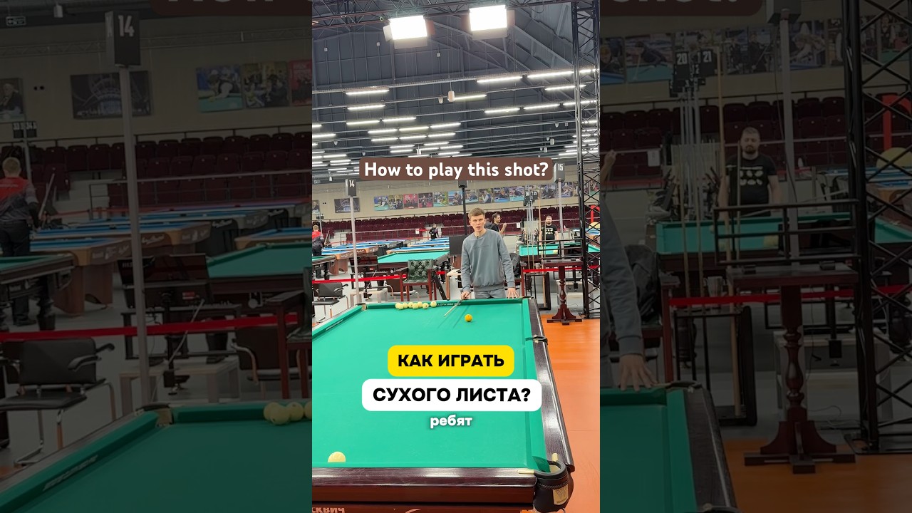 Сухой лист за 30 секунд 