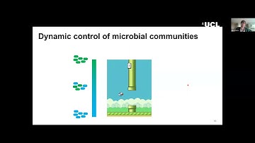Engineering Microbial Communities