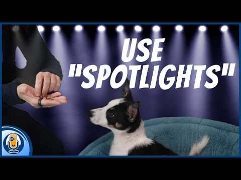 Beyond “Yes” And “Good”: Why Your Dog Needs “Spotlights” #327 #podcast