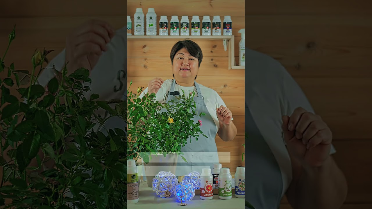 5 фактов о паутинном клеще, которые нужно знать