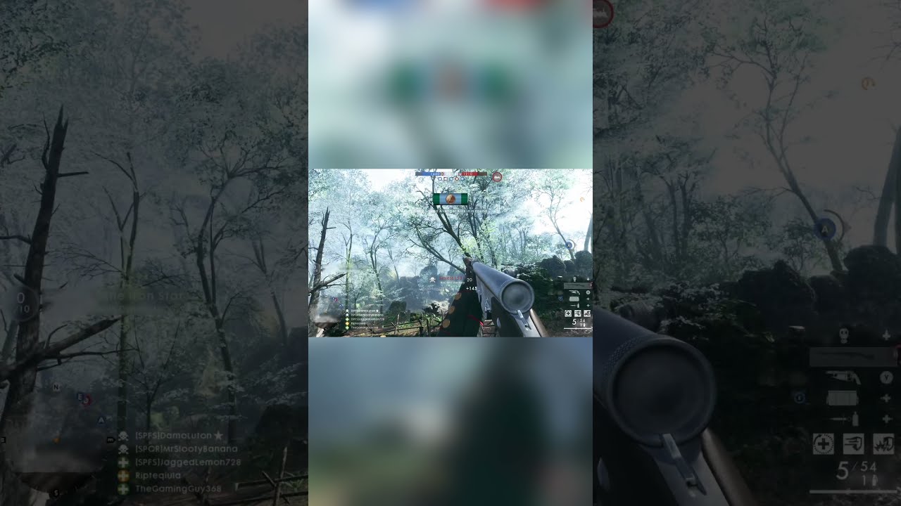 This guy found a glitch to get up in the trees on Argonne Forest(Battlefield 1)