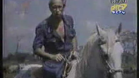Renny Ottolina - Comercial de las vacas y el trnsito
