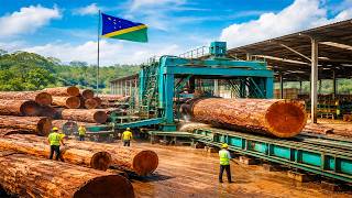 Inside the Largest Wood Sawmill Factory – How Plywood Is Made From Logs to Table (Full Process)