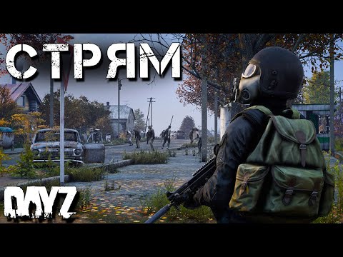 Повыживаем? DAYZ СТРИМ. FROZEN WALL. НОВЫЙ СЕЗОН