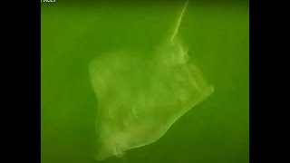 Fishing the Sea Girt Reef