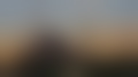 سورة النبأ للشيخ أبو بكر الشاطري