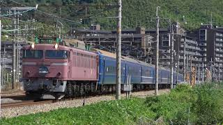 4002レ　日本海　EF81-101牽引(2009-09-20)