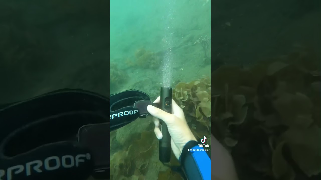 I found my friend’s phone underwater - treasure hunting (TikTok) 