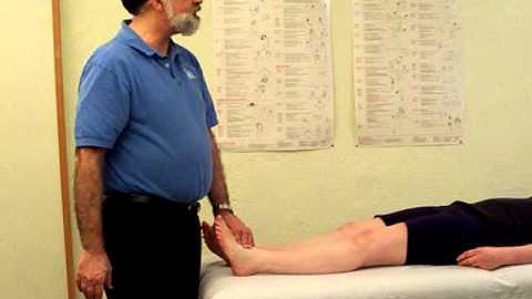 Tibialis Posterior Trigger Point Richard Finn LMT, CMTPT, MCSTT Pittsburgh