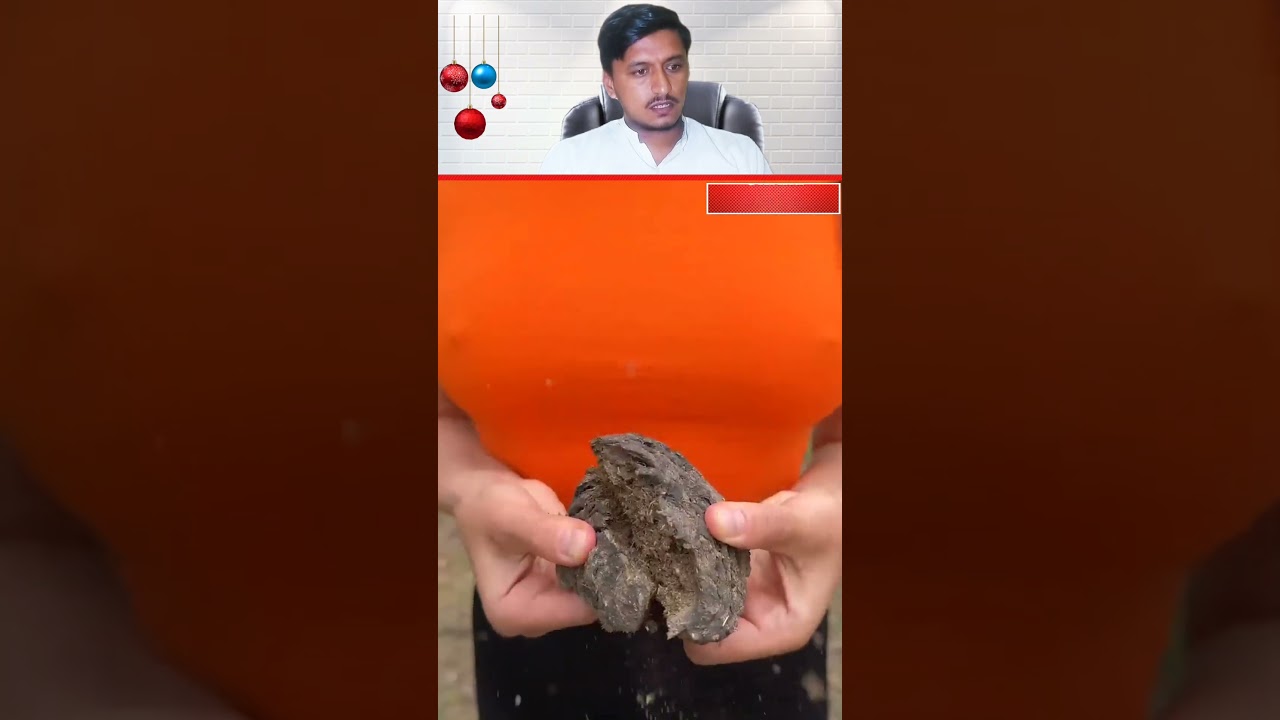 Shock!😱! She uses cow POOP!🐄💩