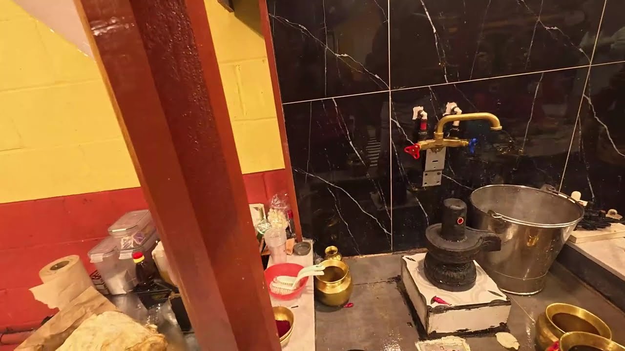 Arudhra Darshan: Witnessing the Cosmic Dance of Shiva | 4K POV