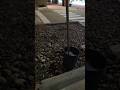 Charging at Every Tesla Supercharger from Sacramento California to Deer Island Florida Part 17