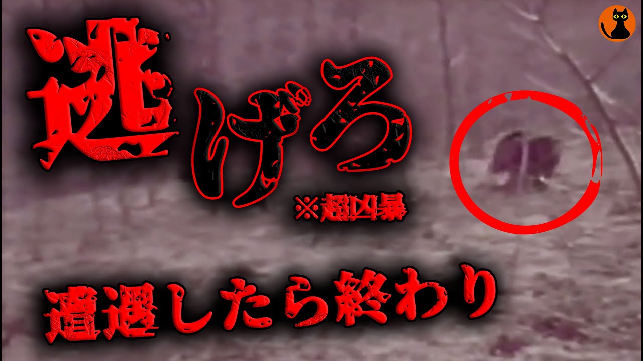 68 Uma未確認生物図鑑 ドッグマン Youtube