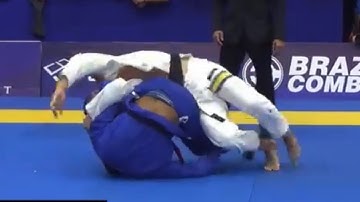 Tainan Dalpra | GATOR ROLL