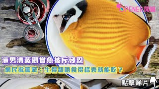 港男清蒸觀賞魚被斥殘忍 網民掀罵戰:生得靚唔食得樣衰就能吃?