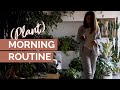La routine mattutina che mi ha cambiato la vita  plant morning routine