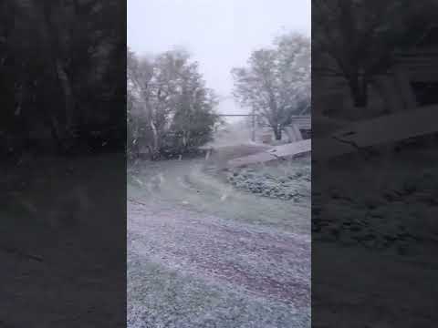 Сильный снег обрушился