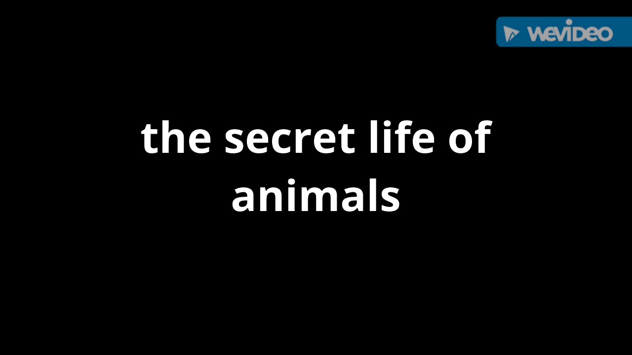 the-secret-life-of-animals-cast-video-youtube