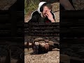 😂Erst sich maulen 😂und dann der passende Kommentar 😂😂😂| #sirvival_und_hillip auf #Twitch